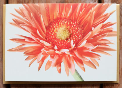 Grußkarte "Gerbera"