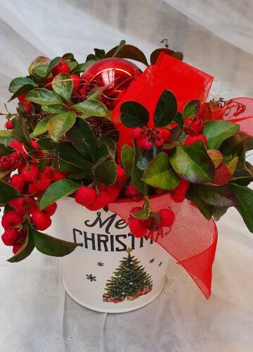 Weihnachtliche Bepflanzung