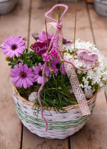 Pflanzkorb zum Muttertag
