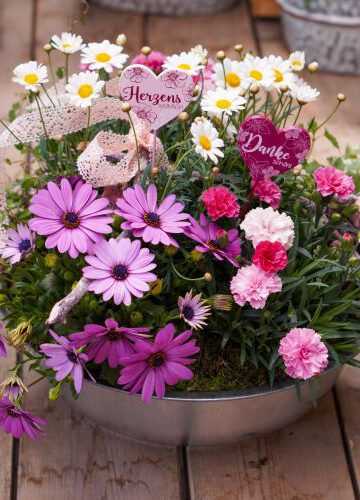 Pflanzschale XL zum Muttertag